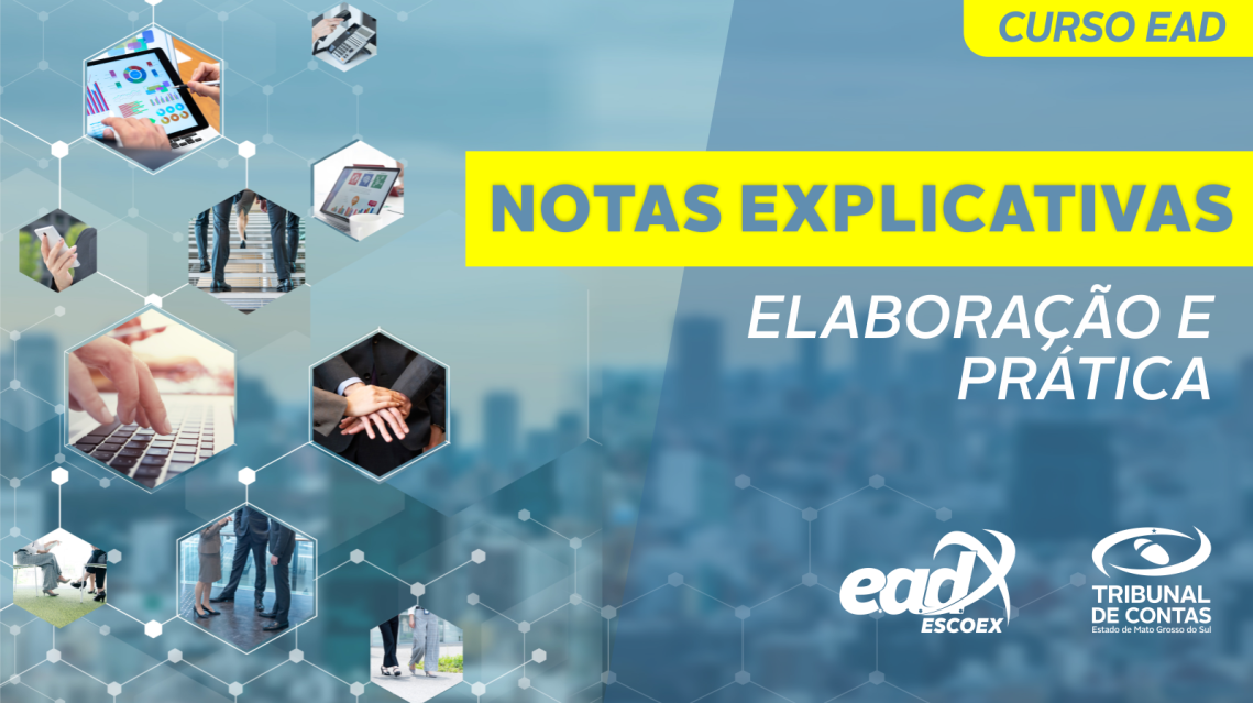 Notas explicativas - Elaboração e prática